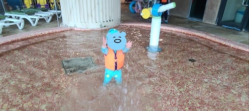 A1동 여름 워터파크 나들이